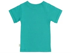 Turkis kortærmet T-shirt i turkis farve fra Petit Piao PP105 turquiose bagfra